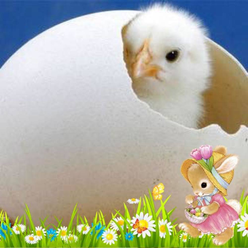 Meet your Posher, Karyn